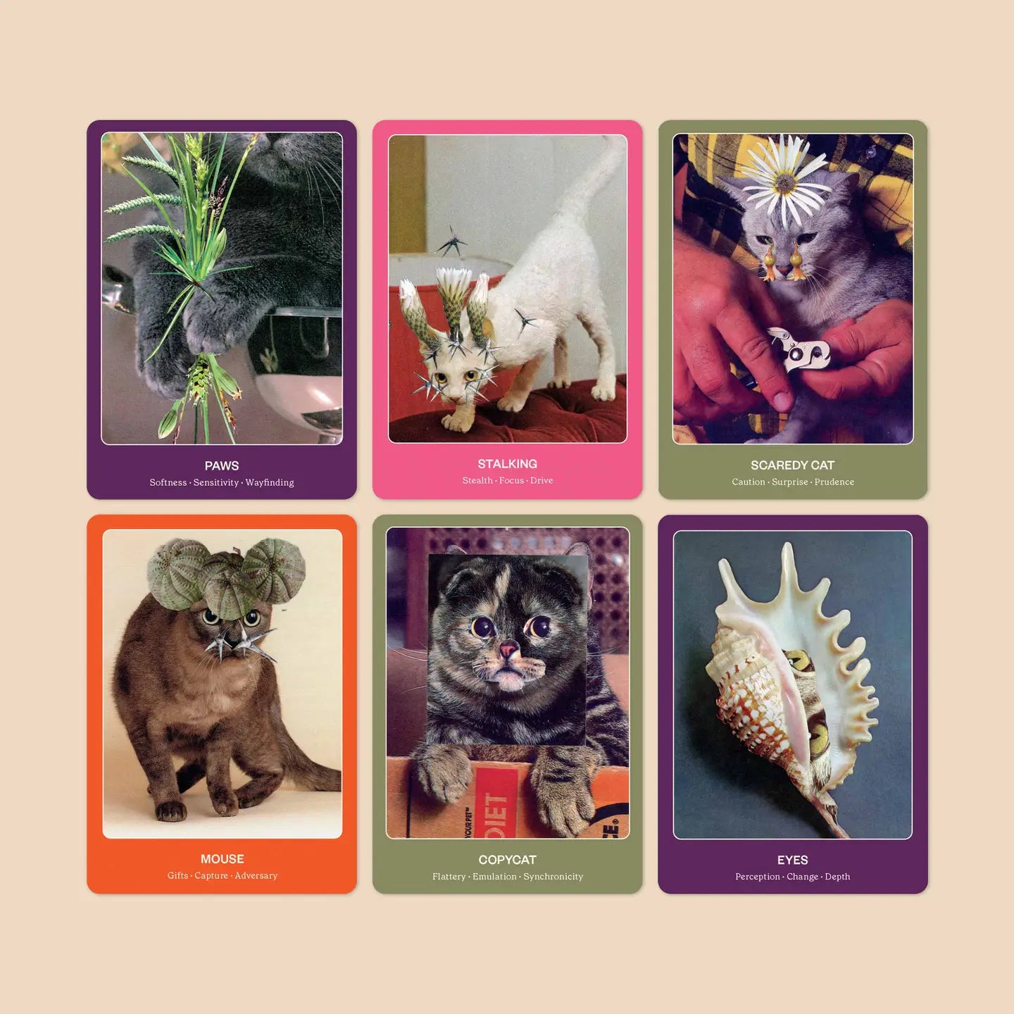 CAT ORACLE