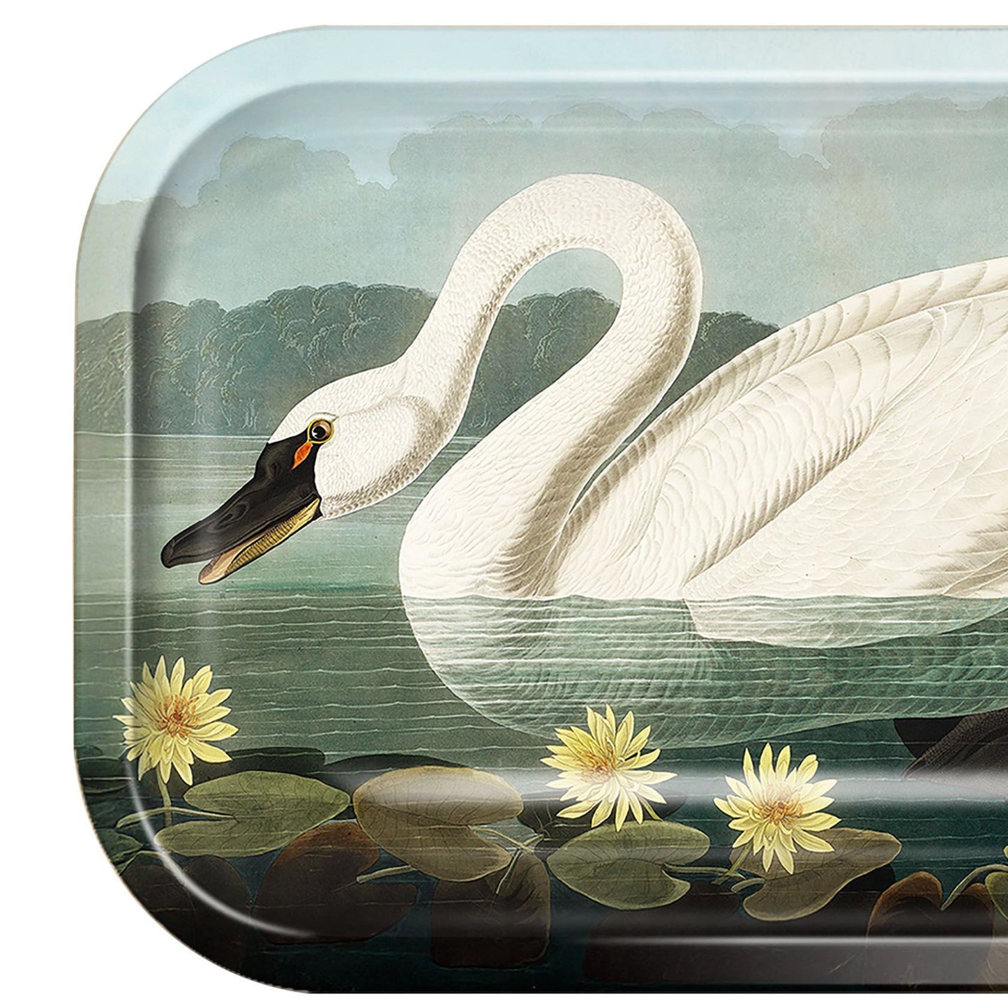 Metal Audubon Swan Catchall Tray / Trinket Tray