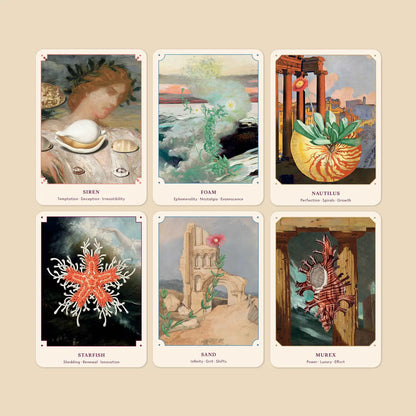 SEASHELL ORACLE