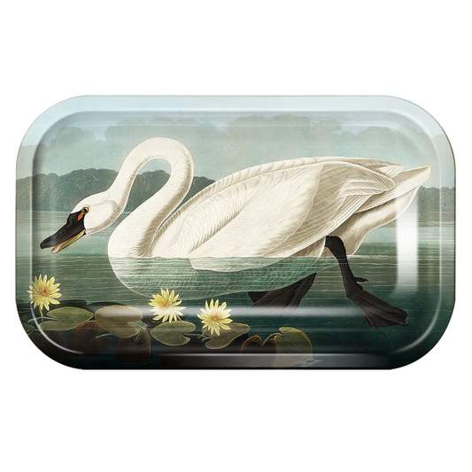 Metal Audubon Swan Catchall Tray / Trinket Tray