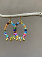 FUN! Mini Shimmy Hoops