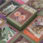 CAT ORACLE