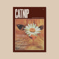 CATNIP MAG
