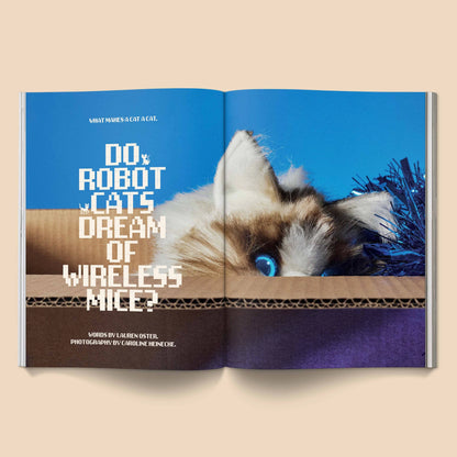 CATNIP MAG