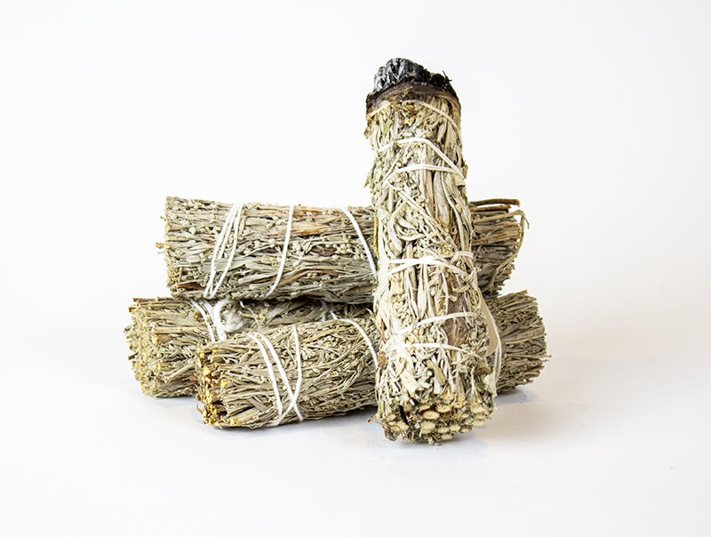 HERB BUNDLE - 4" BLUE SAGE