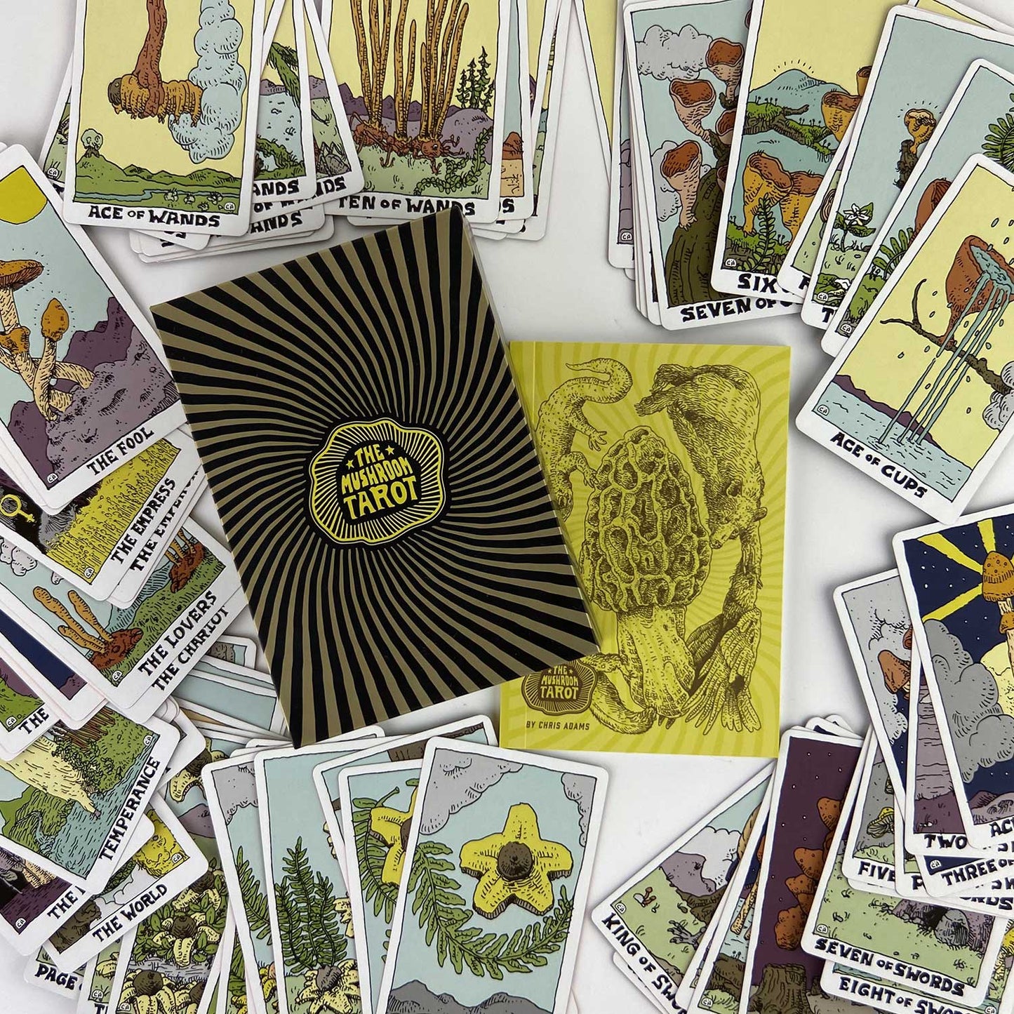 Mushroom Tarot