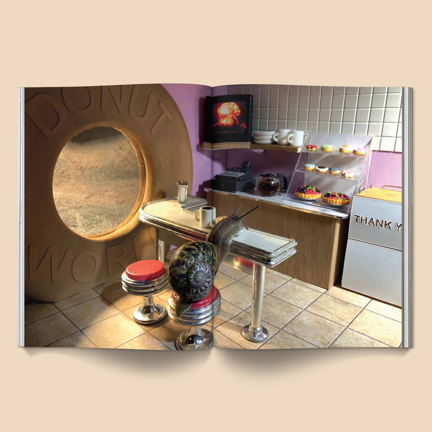 SNAIL WORLD 2