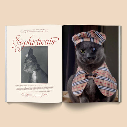 CATNIP MAG